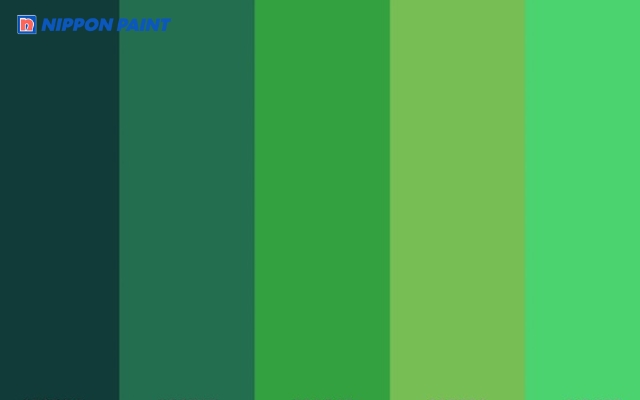 Màu hợp tuổi Bính Thân 1956 - mệnh Hỏa