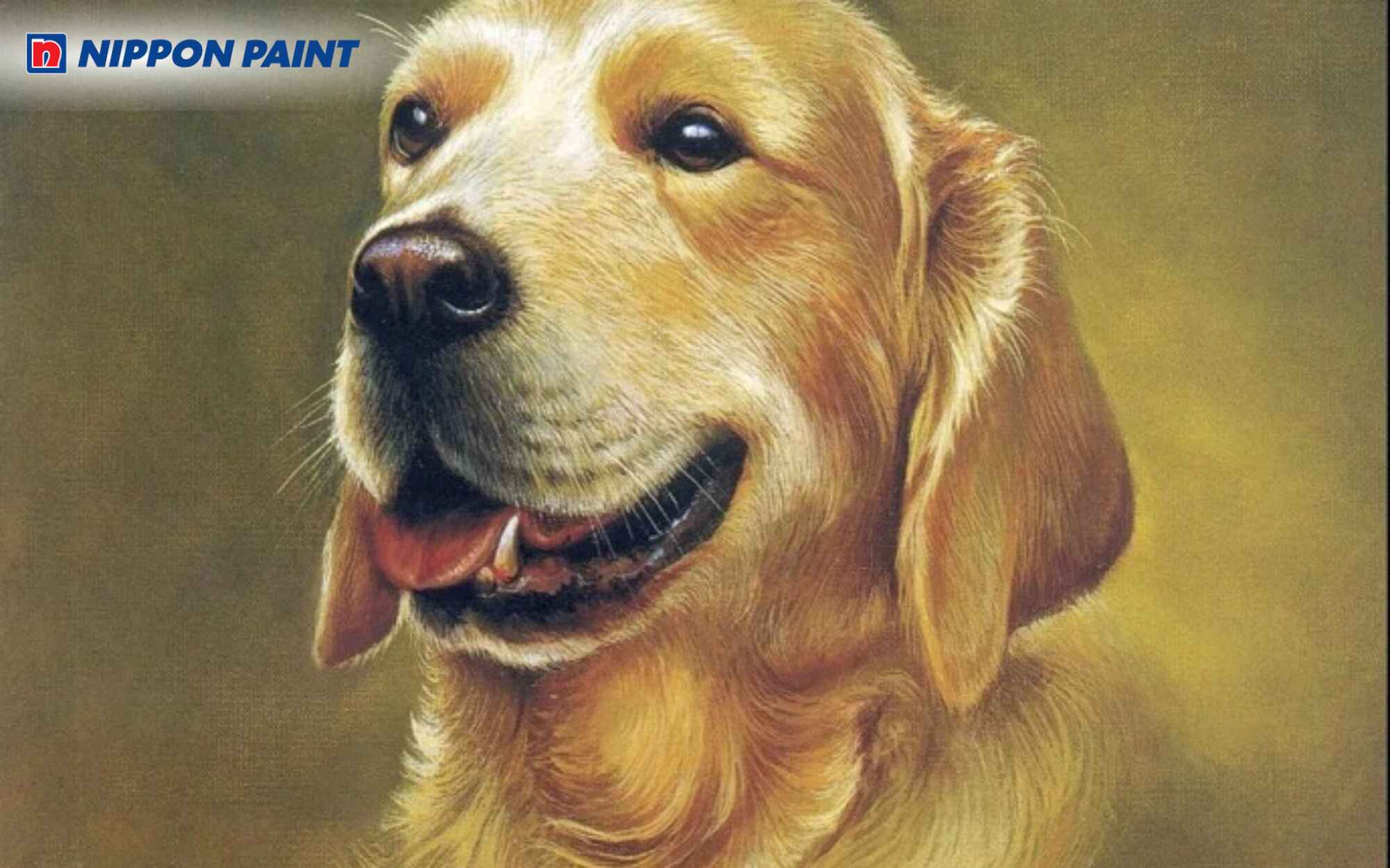 Tuổi Tuất tương khắc màu gì?