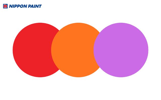 Gia chủ tuổi Mậu Tý nên chọn màu đỏ,cam, hồng, tím