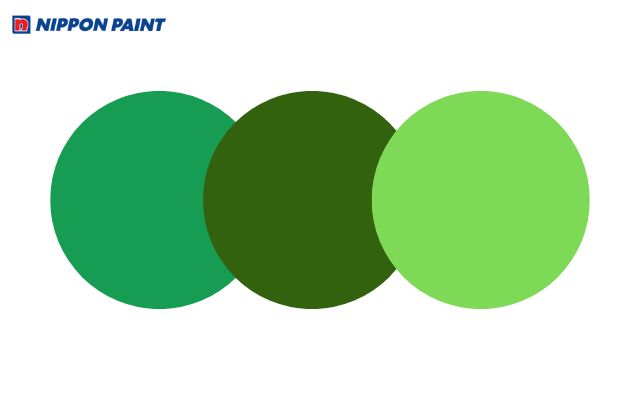 Người tuổi Nhâm Tý hợp với các gam màu xanh lá cây