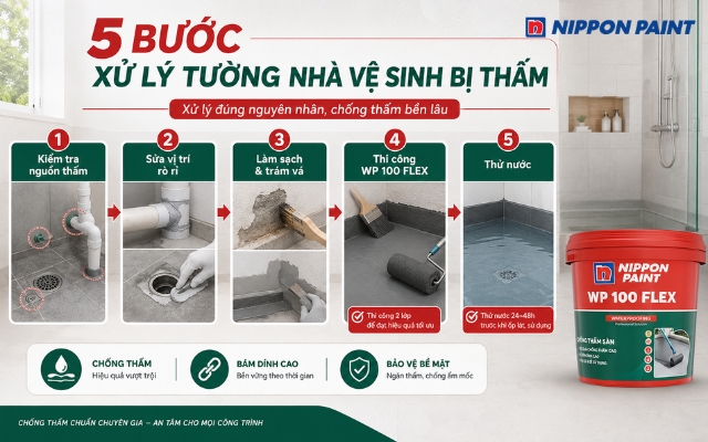 Cách xử lý tường nhà vệ sinh bị thấm nước cùng WP 100 FLEX