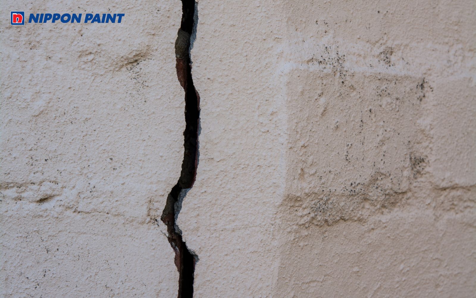 Vết nứt sâu đến lớp gạch xây