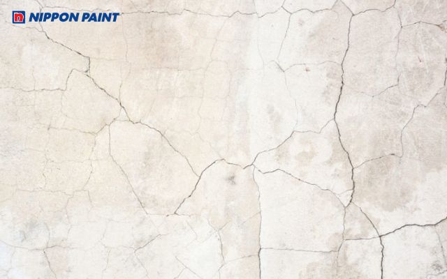 Bảo dưỡng bề mặt đúng cách, tránh tác động mạnh bề mặt tường sau khi xử lý vết nứt