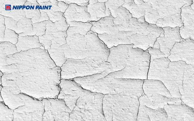 Tường nứt chân chim là tình trạng xuất hiện các vết nứt nhỏ trên bề mặt tường