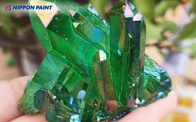 Trong phong thủy, màu xanh lá cây thường gắn với sự tươi mới, sinh trưởng và phát triển