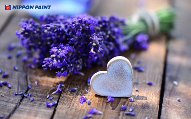 Ý nghĩa màu sắc trong tình yêu giúp truyền tải cảm xúc và các cung bậc của mối quan hệ