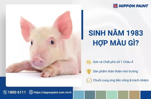 1983 hợp màu gì? Tham khảo 25 mẫu màu sơn nhà hợp tuổi Quý Hợi, vượng tài lộc