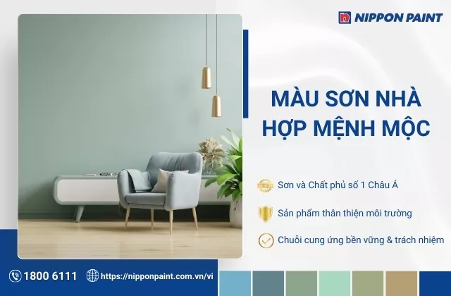 Mệnh Mộc hợp màu gì, kỵ màu gì theo phong thủy?