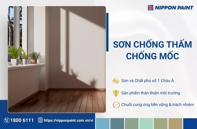 5 loại sơn chống ẩm chống thấm mốc cho tường nhà hiệu quả