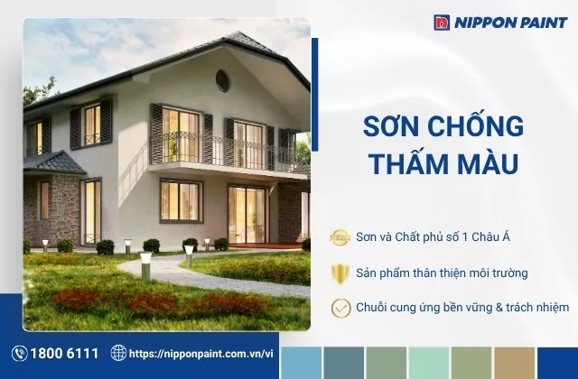 Sơn chống thấm có màu gì? Tiêu chí khi chọn sơn chống thấm