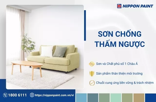 Top 6 loại sơn chống thấm ngược hiệu quả toàn diện 