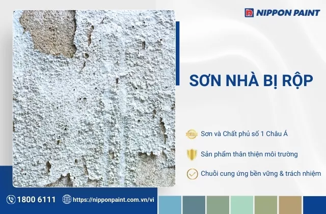 Nguyên nhân và cách khắc phục hiện tượng sơn nhà bị rộp