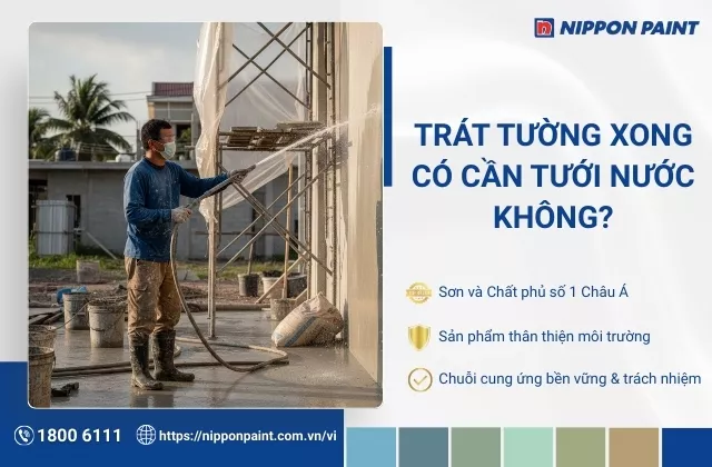 [Giải đáp] Trát tường xong có cần tưới nước không?