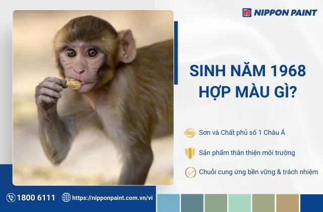 1968 hợp màu gì? Gợi ý 25 mẫu phối màu sơn nhà phù hợp gia chủ 1968