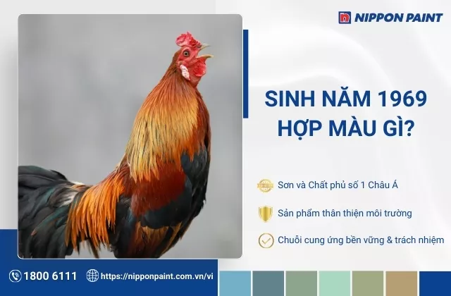 1969 hợp màu gì? 25 mẫu phối màu sơn nhà hợp phong thủy chủ nhà 1969