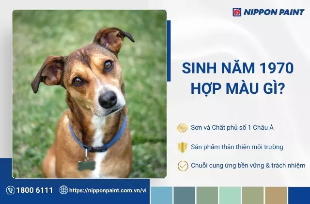 1970 hợp màu gì? Top 25 mẫu màu sơn nội thất hài hòa và thẩm mỹ cho gia chủ 1970