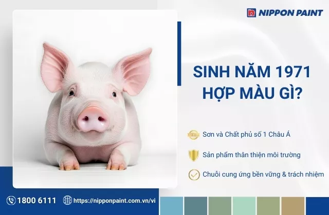 1971 hợp màu gì? Top 25 mẫu phối màu sơn nhà được ưa chuộng