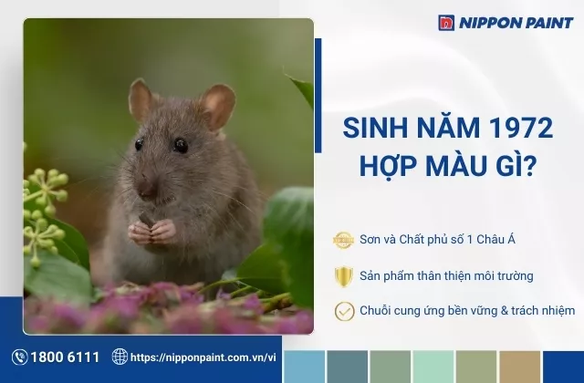 1972 hợp màu gì? 25 gợi ý phối màu sơn nhà hài hòa cho gia chủ 1972