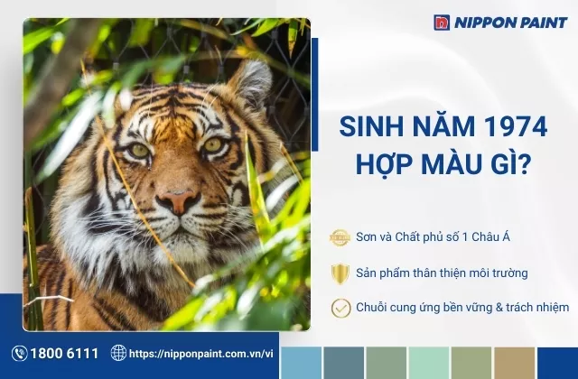 1974 hợp màu gì? Top 30 mẫu màu sơn hợp phong thủy tuổi Dần 1974