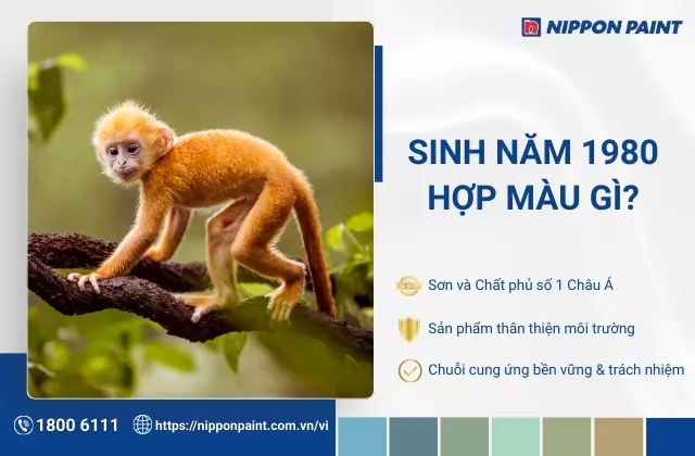 1980 hợp màu gì? Tìm hiểu 25 mẫu màu sơn nhà hợp tuổi Canh Thân hiện nay