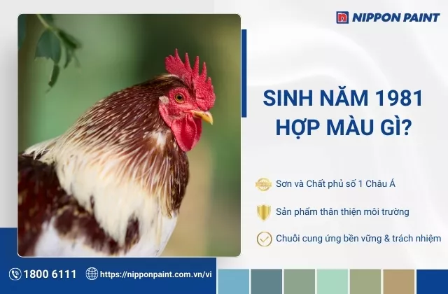 1981 hợp màu gì? Gợi ý 25 mẫu màu sơn nhà hợp tuổi Tân Dậu, đón may mắn