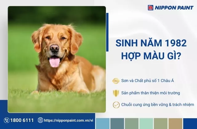 1982 hợp màu gì? Top 25 mẫu màu sơn nhà hợp tuổi Nhâm Tuất, rước tài lộc