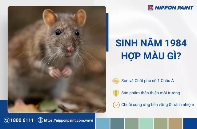 1984 hợp màu gì? Gợi ý 25 mẫu màu sơn nhà hợp tuổi Giáp Tý, rước tài lộc
