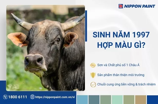 1997 hợp màu gì? Tổng hợp 30 mẫu phối màu sơn nhà đẹp và hợp phong thủy