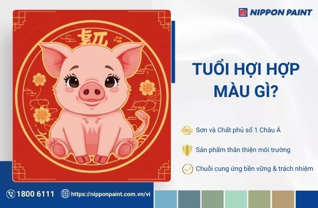 Tuổi Hợi hợp màu gì? Gợi ý 30 mẫu màu sơn nhà đón tài lộc, hợp với gia chủ tuổi Hợi