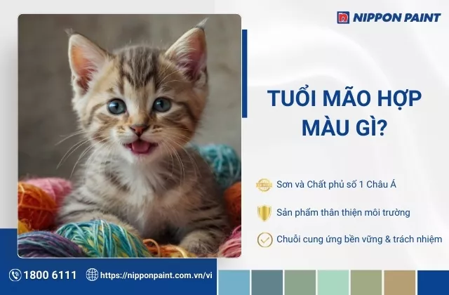 Tuổi Mão hợp màu gì? Tổng hợp 30 mẫu màu sơn nhà hợp phong thủy tuổi Mão