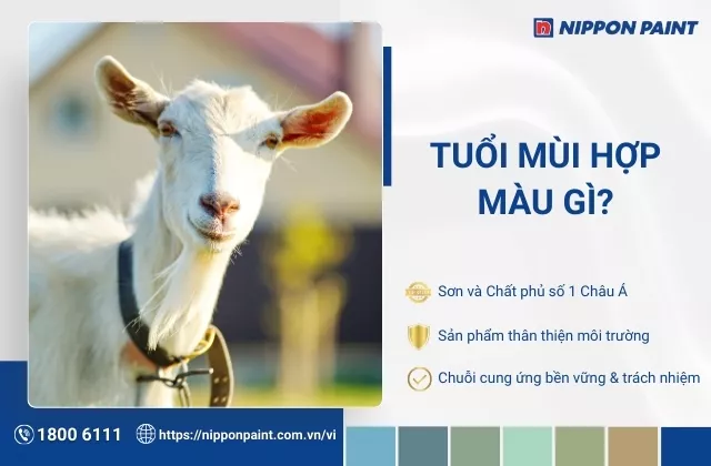 Tuổi Mùi hợp màu gì? 30 mẫu màu sơn nhà hợp tuổi Mùi, mang may mắn cho gia chủ