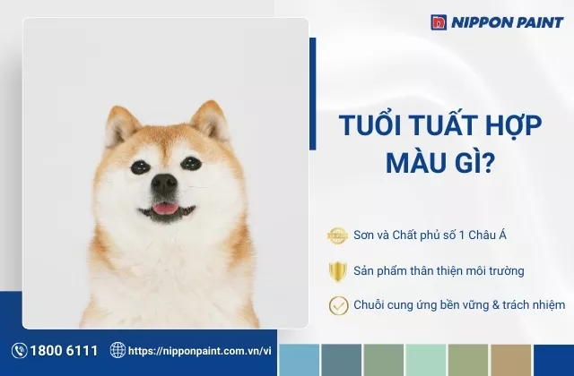 Tuổi Tuất hợp màu gì? Tham khảo 30 mẫu sơn nhà đẹp, hợp với tuổi Tuất