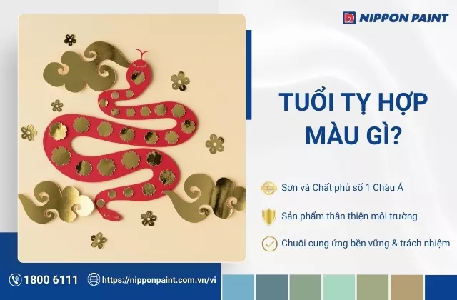 Tuổi Tỵ hợp màu gì? Top 30 mẫu màu sơn nhà hợp phong thủy tuổi Tỵ