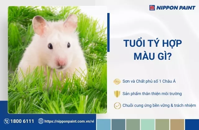 Tuổi Tý hợp màu gì? Tham khảo 30 mẫu màu sơn nhà cho gia chủ tuổi Tý