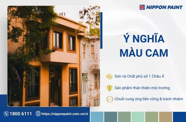 Màu cam là màu gì? Ý nghĩa màu cam trong thiết kế, tình yêu và cuộc sống