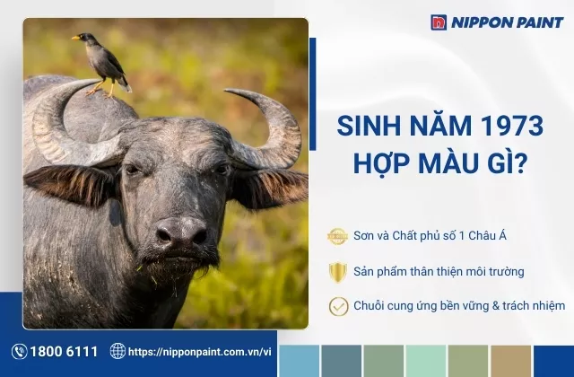 1973 hợp màu gì? Tham khảo 30 mẫu phối màu đẹp và dễ ứng dụng