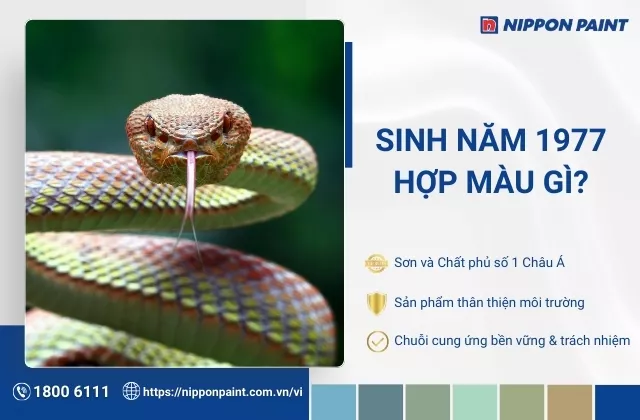 1977 hợp màu gì? Tổng hợp 25 mẫu màu sơn nhà hợp phong thủy, tăng vượng khí