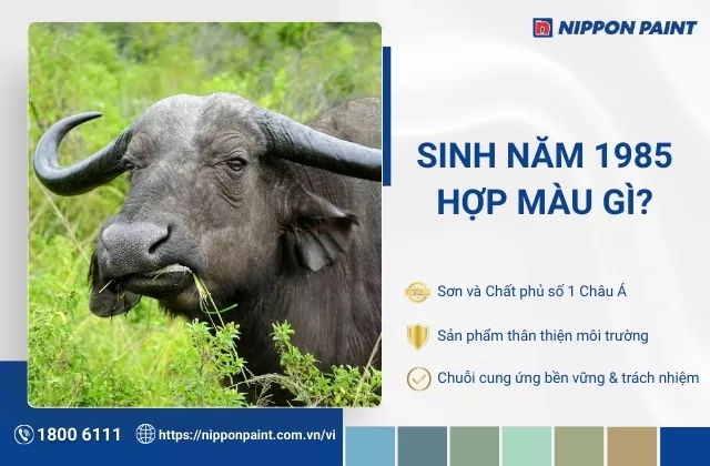 1985 hợp màu gì? 36 màu sơn nhà hỗ trợ tài vận tuổi Ất Sửu