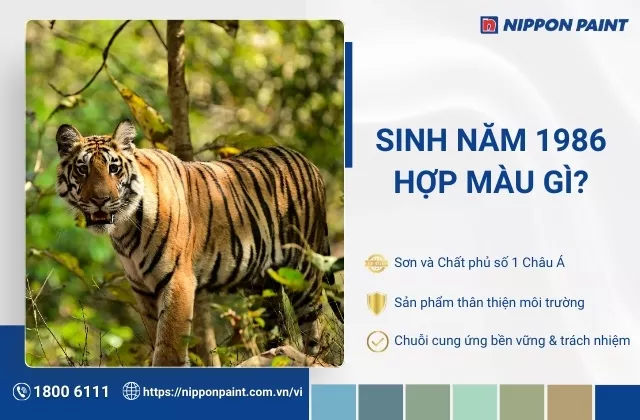 1986 hợp màu gì? Top 30 mẫu sơn giúp Bính Dần phát tài, phát lộc