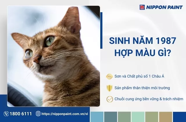 1987 hợp màu gì? 30 mẫu phối màu sơn nhà giúp Đinh Mão vượng phát