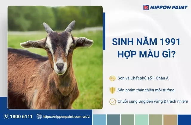 1991 hợp màu nào? Gợi ý 30 mẫu phối màu sơn nhà, hướng nhà cho Tân Mùi 1991