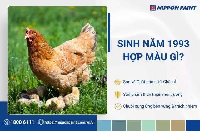 1993 hợp màu gì? Kỵ màu gì? Gợi ý màu sơn nhà thu hút tài lộc