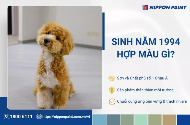 1994 hợp màu gì? Kỵ màu gì? Gợi ý màu sơn nhà thu hút tài lộc