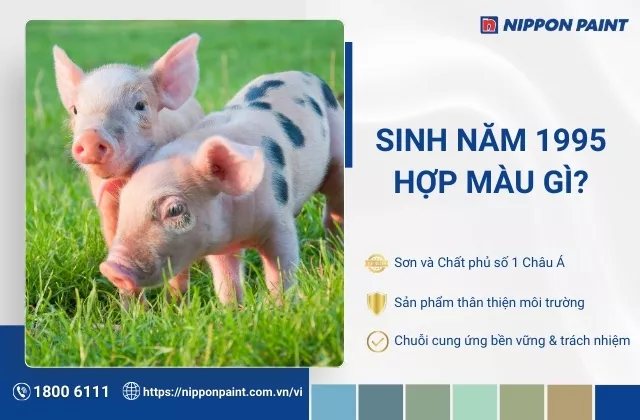 1995 hợp màu gì? Các màu sơn nhà đẹp, giúp gia tăng tài lộc và vận khí
