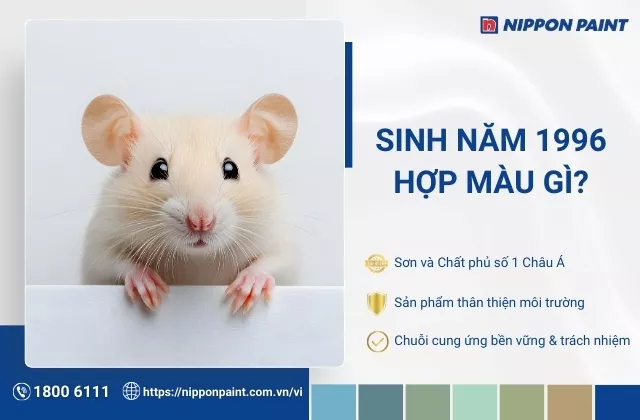 1996 hợp màu gì? Cập nhật 25 mẫu phối màu sơn hợp mệnh gia chủ Bính Tý 1996
