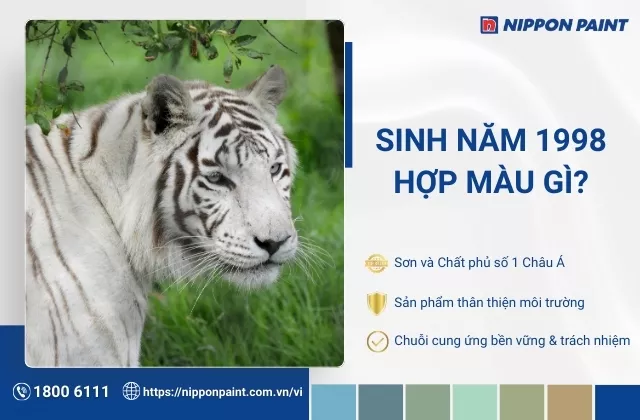 1998 hợp màu gì? Gợi ý 30 mẫu phối màu sơn nhà hợp phong thủy gia chủ 1998