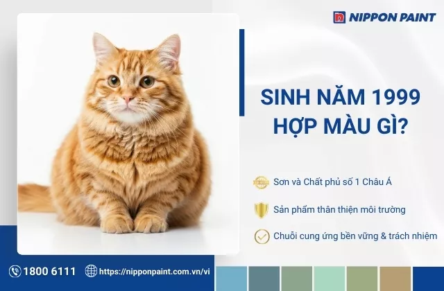 1999 hợp màu gì? 30 gợi ý phối màu sơn nhà hợp phong thủy gia chủ năm 1999