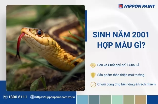 2001 hợp màu gì? 30 mẫu phối màu sơn nhà hợp mệnh gia chủ Tân Tỵ
