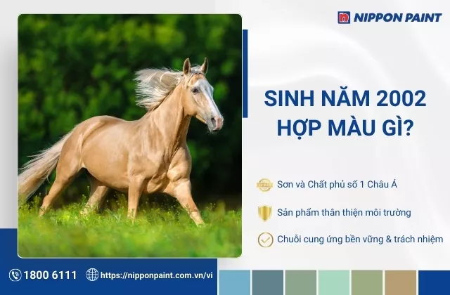 2002 hợp màu gì? Top 36 gợi ý phối màu sơn nội thất cho gia chủ Nhâm Ngọ 2002