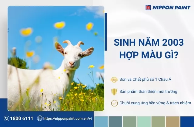 2003 hợp màu gì? 36 gợi ý màu sơn hợp phong thủy người sinh năm Quý Mùi 2003